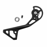 RD-RX800-GS OUTER PLATE ASSEMBLY GS